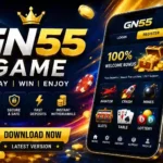 GN55 Game